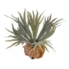Plante staghorn artificielle, 13″