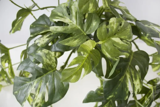 Plante suspendue de monstera artificiel, 24″