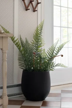 Porous finish black pot