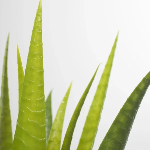 Potted artificial plant, aloe vera, 11″