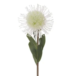 Protéa blanche artificielle, 23″