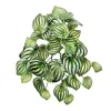 Real touch artificial watermelon peperomia, 13″