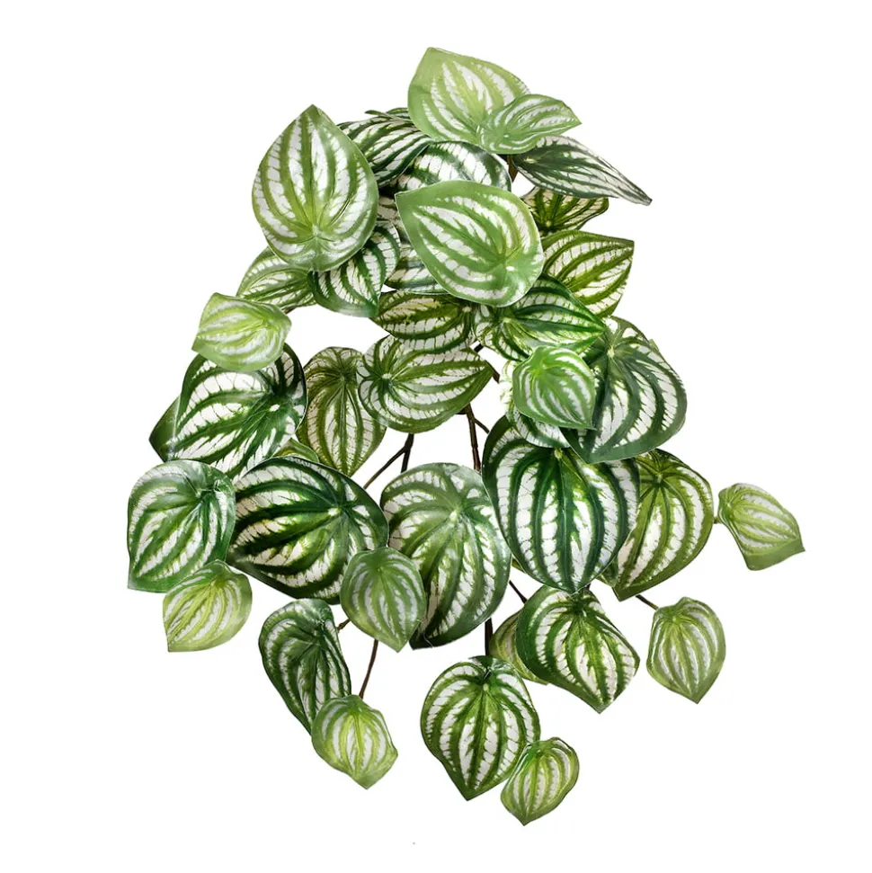 Real touch artificial watermelon peperomia, 13″