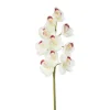 Real-touch artificial white cymbidium orchid, 23″