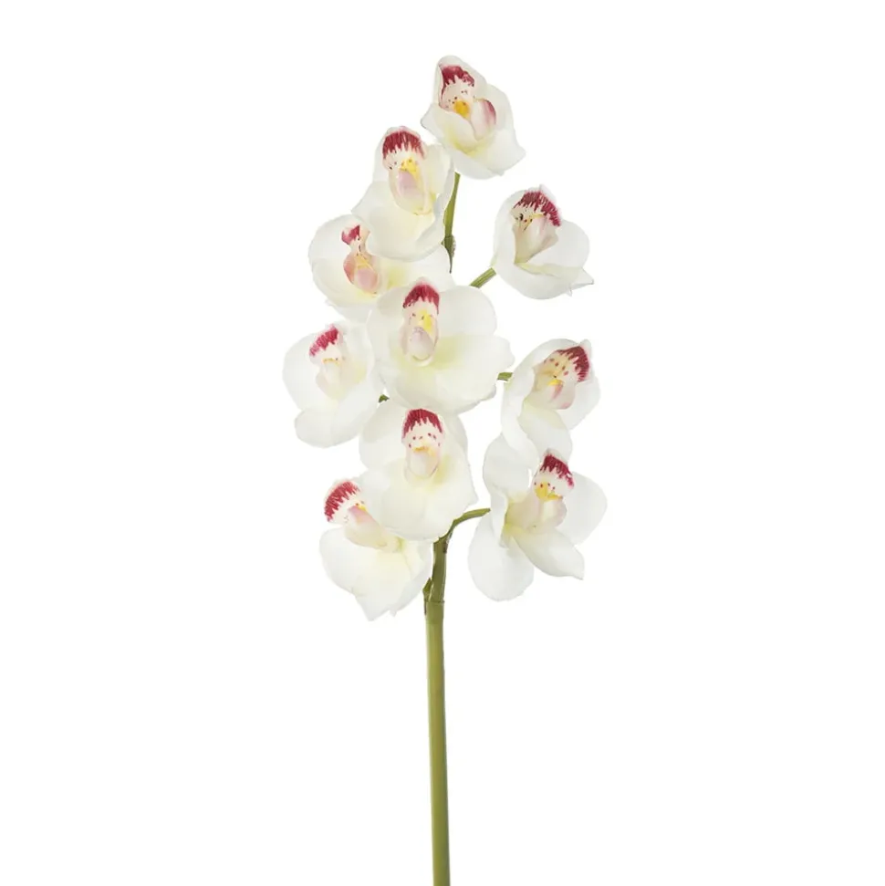 Real-touch artificial white cymbidium orchid, 23″