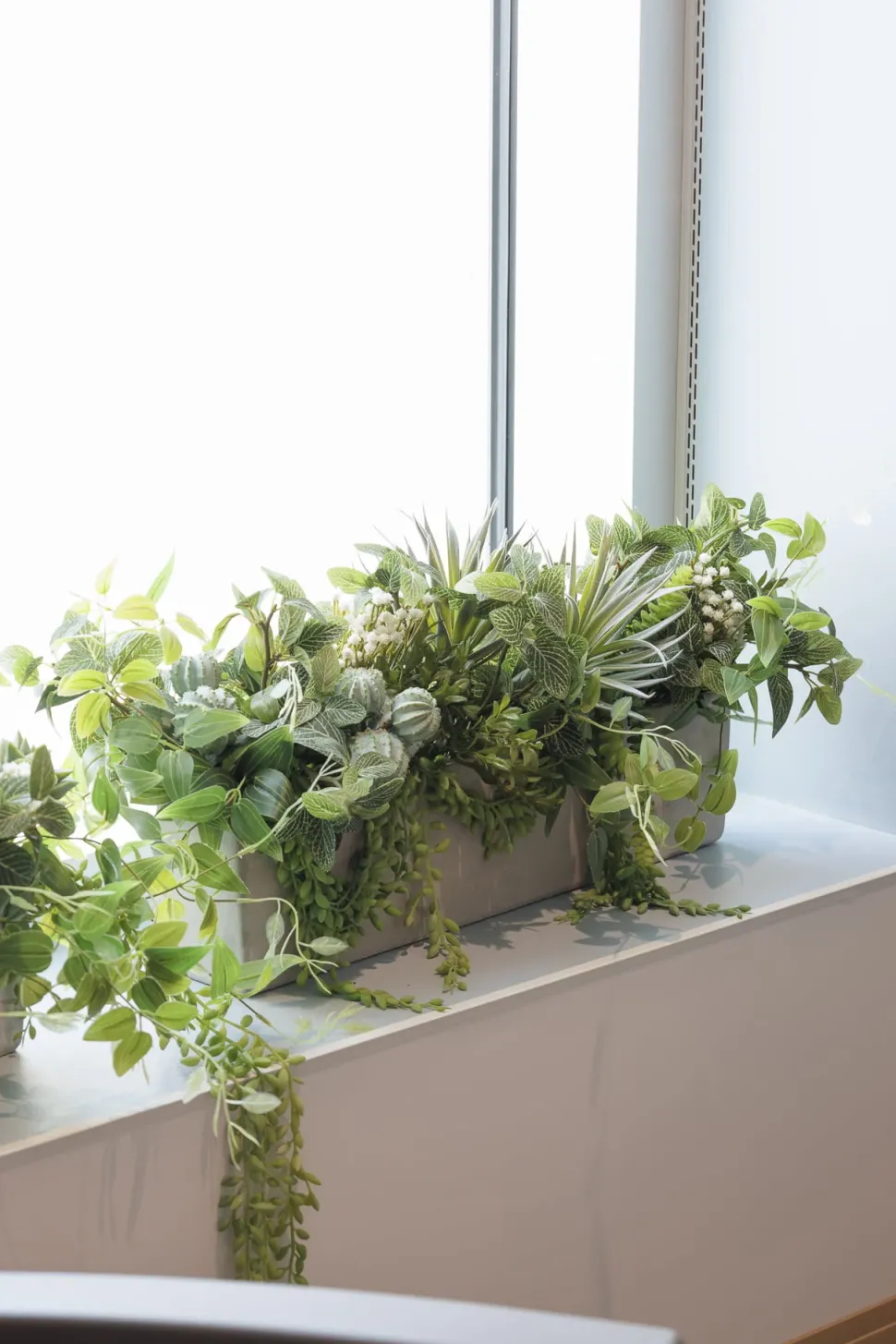 Rectangular grey fibercement pot, 3 x 19"