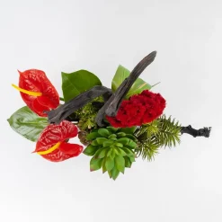 Red Anthurium Stem