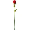 Red Artichoke Flower, 33″