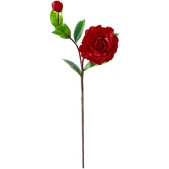 Red Camellia, 23″