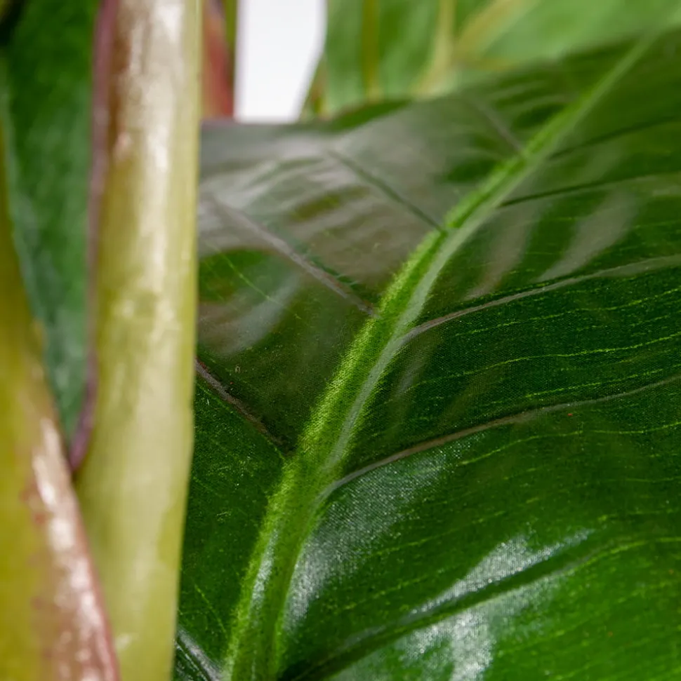 Red canna artificial outdoor plant, 60"