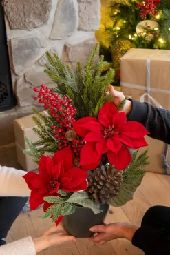 Red poinsettia traditional Christmas arrangement
