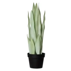 Sansevière moonshine artificielle, 25,5″