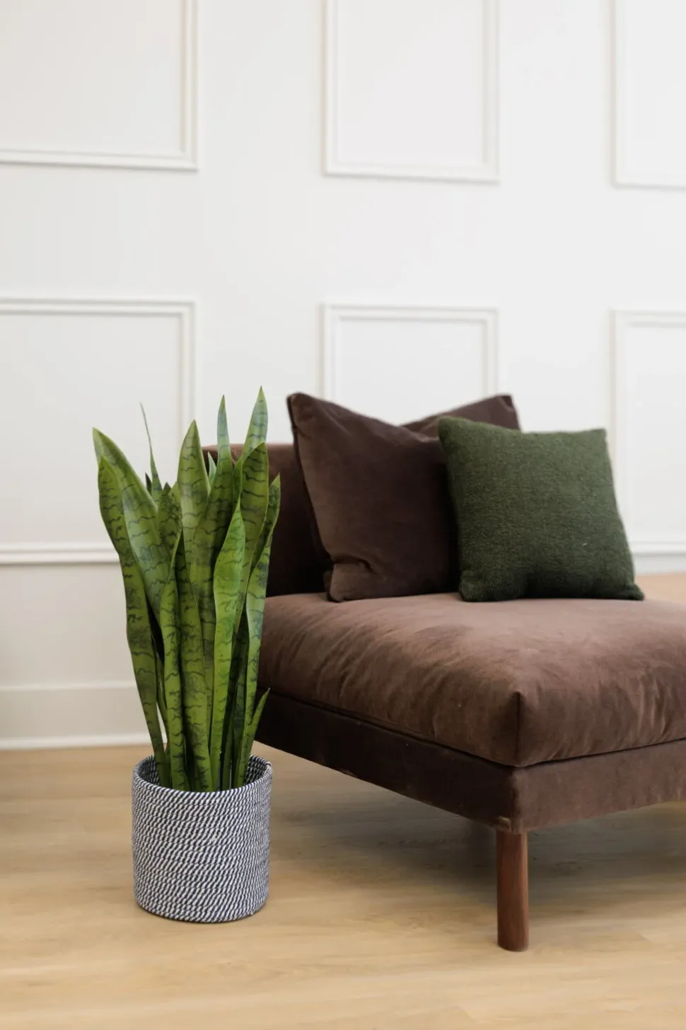 Sansevière trifasciata verte artificielle, 31″