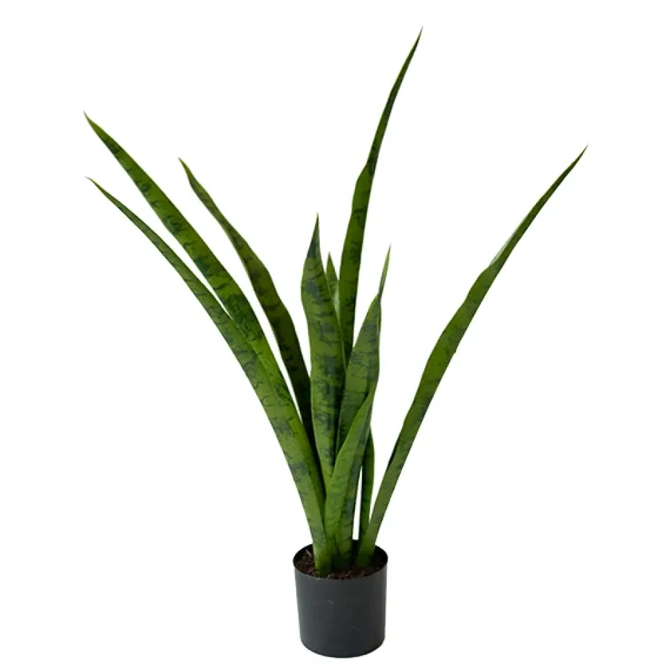 Sansevière verte artificielle, 30″