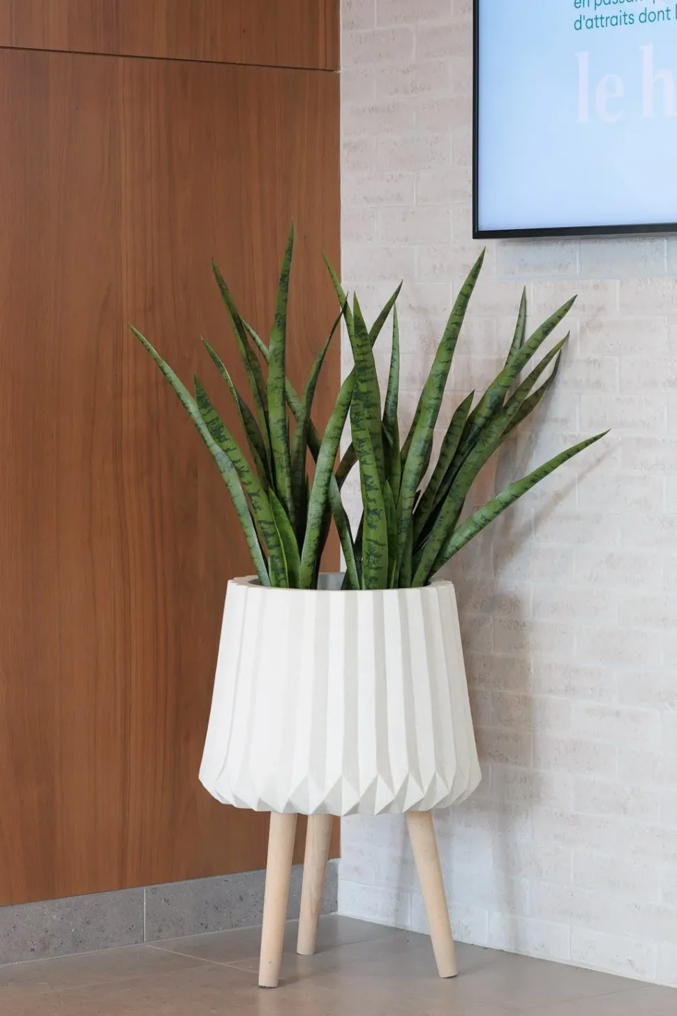 Sansevière verte artificielle, 30″