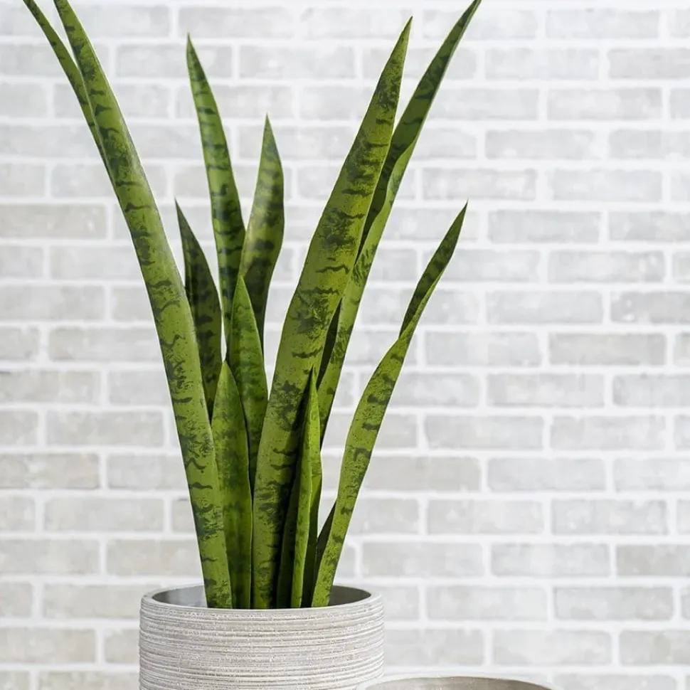 Sansevière verte artificielle, 30″