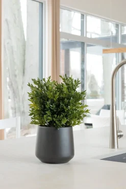 Small matte dark grey ceramic pot, 5,5 x 6