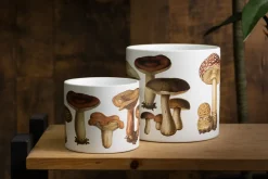 Small mushroom decorative pot, 6,5