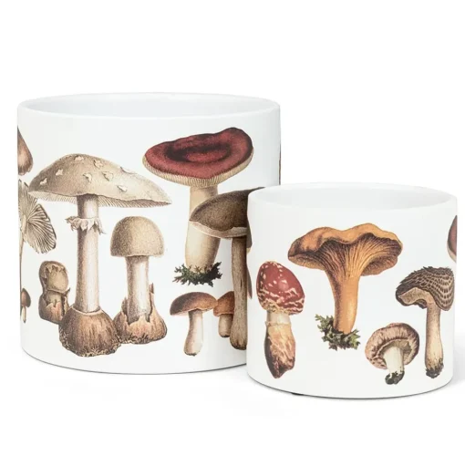 Small mushroom decorative pot, 6,5"