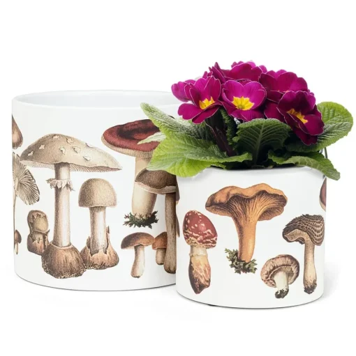 Small mushroom decorative pot, 6,5"