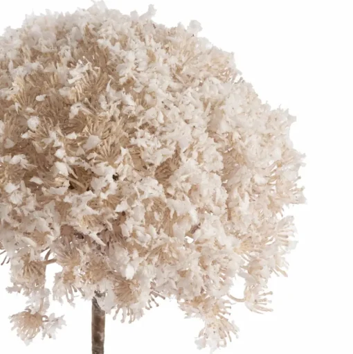 Snow-covered flower, queen anne’s lace, 27"