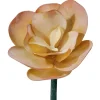 Succulente artificielle à larges feuilles crème, 10″