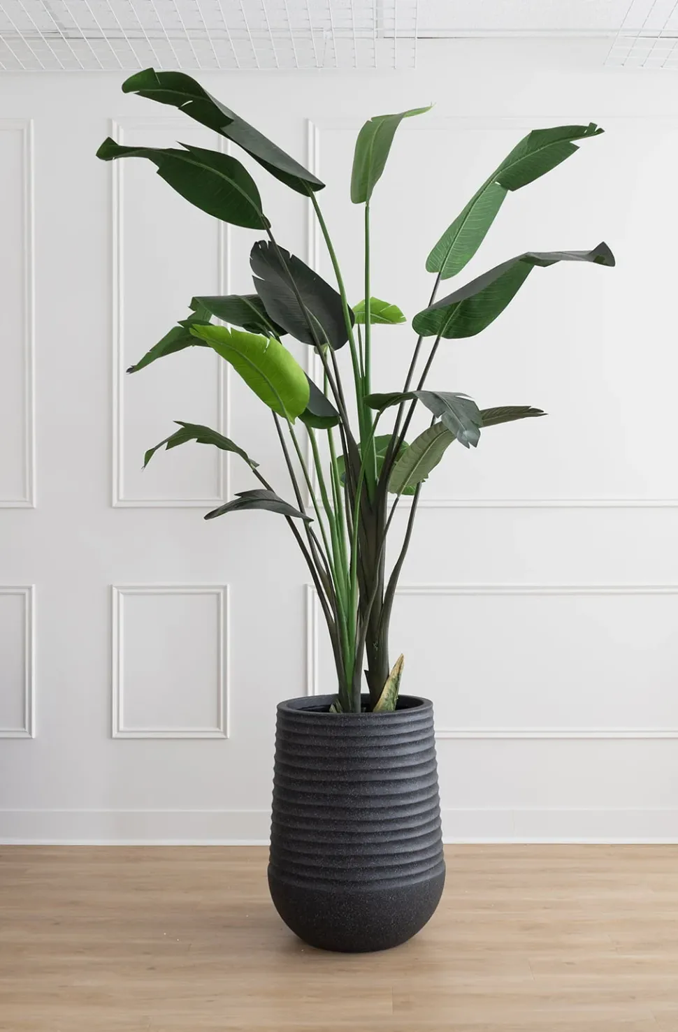 Tall textured black recycled polypropylene planter