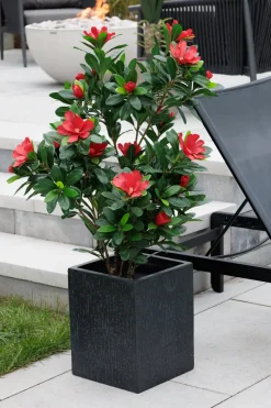 Textured black square planter