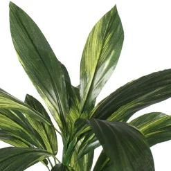 Tige de cordyline verte artificielle, 33″