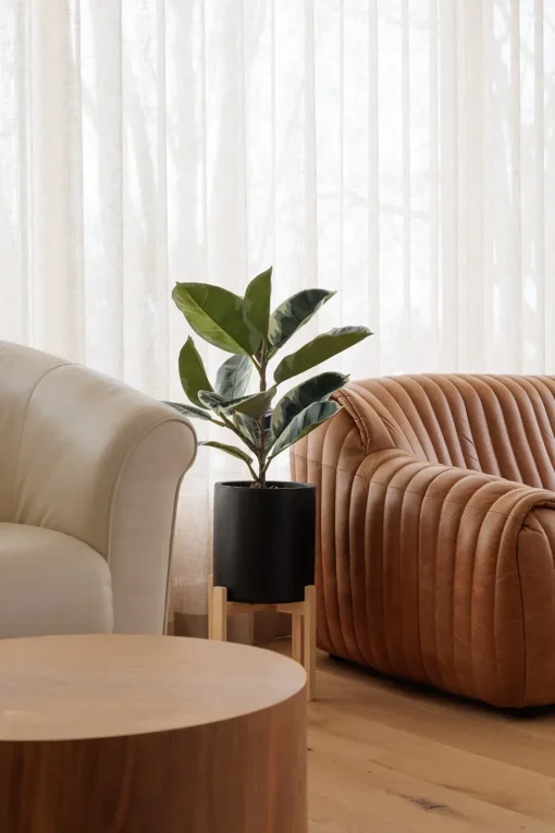 Tige de ficus elastica panaché artificiel, 25″