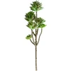 Tige de petites plantes succulentes vertes 13″