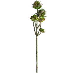 Tige de petites plantes succulentes vertes foncées 13″