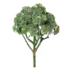 Tige de plante grasse, 9″
