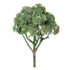 Tige de plante grasse, 9″