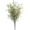 Tige de trientale boréale blanche, 20″