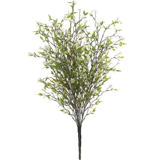Tige de trientale boréale blanche, 20″