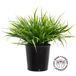 Verdure artificielle extérieure en pot de culture, 19 x 22″