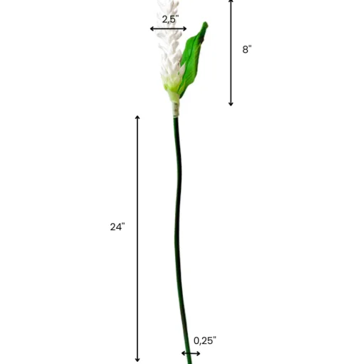 White Heliconia Stem With Greenery