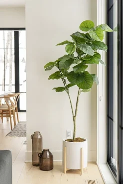 White wood plant pot stand